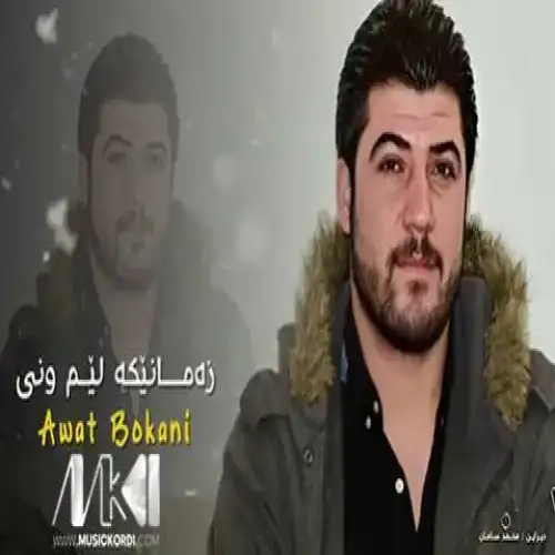 زه‌مانیکه لیم ونی